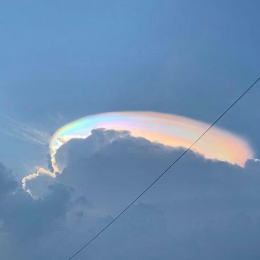 Meet your Posher, Faith